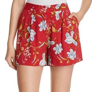 VINCE CAMUTO Graceful Wildflower Floral Red Dressy Shorts